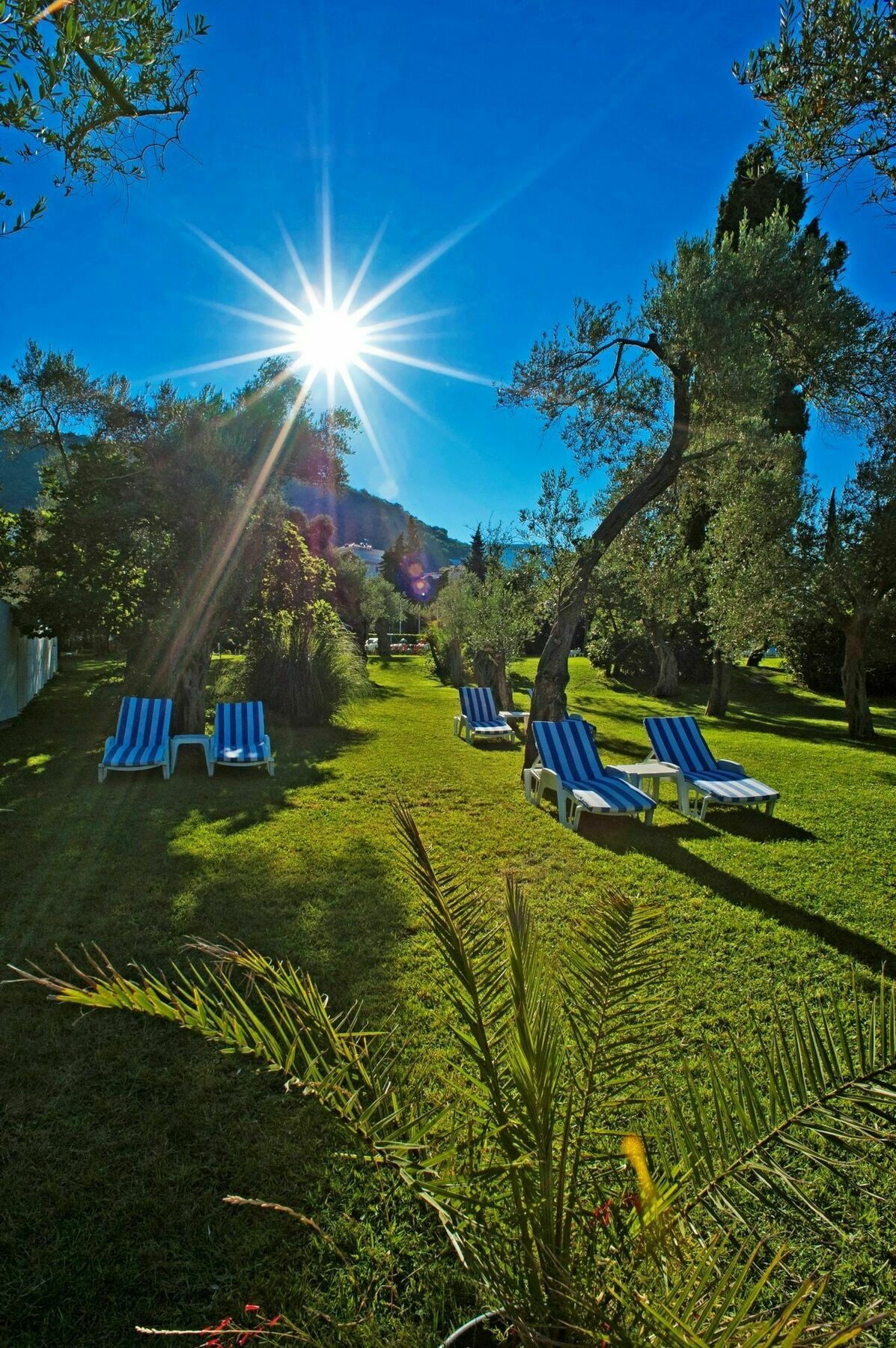 Hotel Rivijera Petrovac Exterior foto